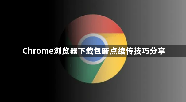 Chrome浏览器下载包断点续传技巧分享1