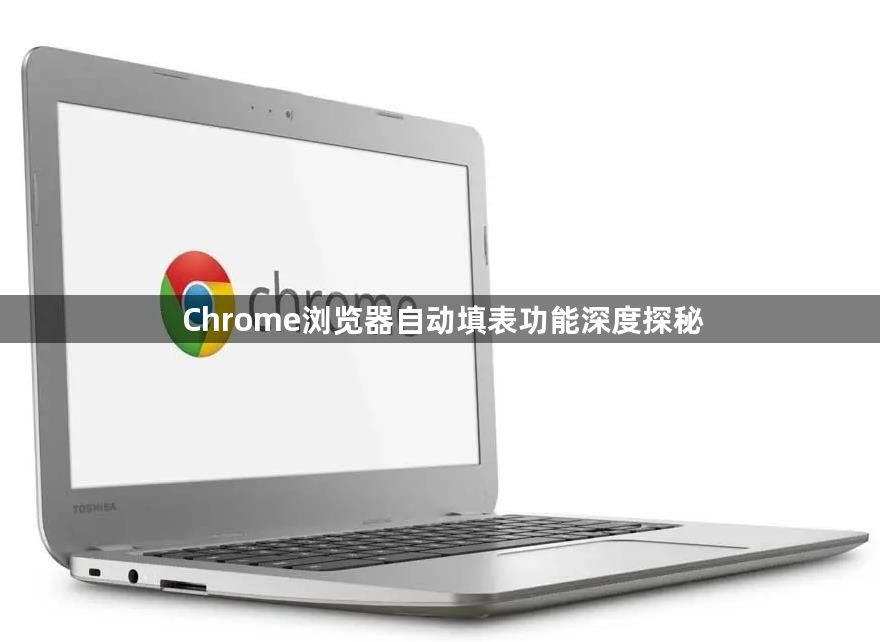 Chrome浏览器自动填表功能深度探秘1
