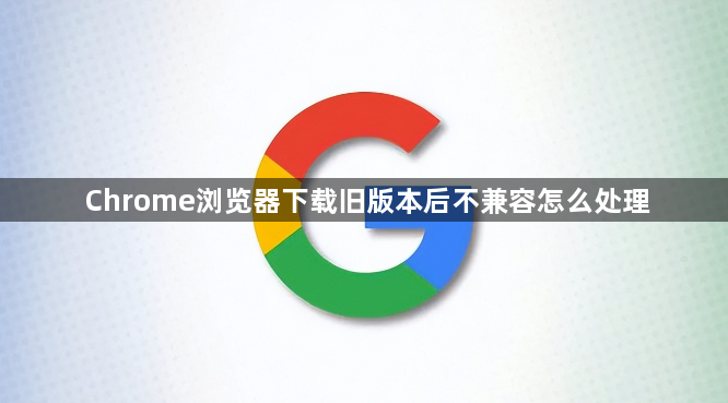 Chrome浏览器下载旧版本后不兼容怎么处理1