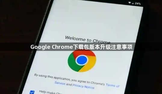 Google Chrome下载包版本升级注意事项1