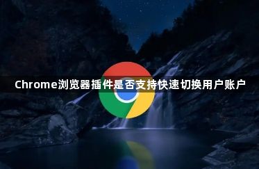 Chrome浏览器插件是否支持快速切换用户账户1