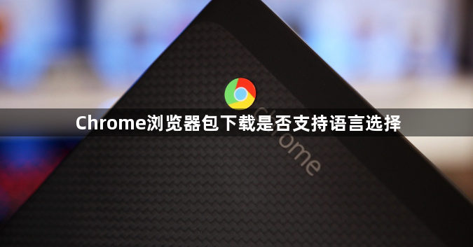 Chrome浏览器包下载是否支持语言选择1