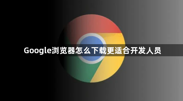 Google浏览器怎么下载更适合开发人员1