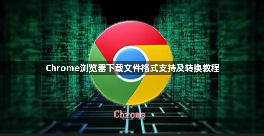 Chrome浏览器下载文件格式支持及转换教程1