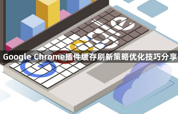 Google Chrome插件缓存刷新策略优化技巧分享1