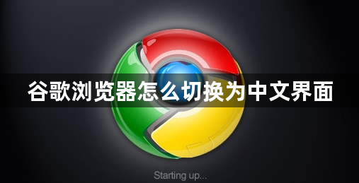 谷歌浏览器怎么切换为中文界面1