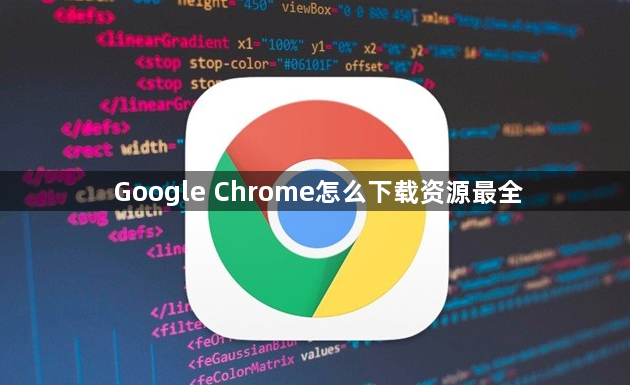 Google Chrome怎么下载资源最全1