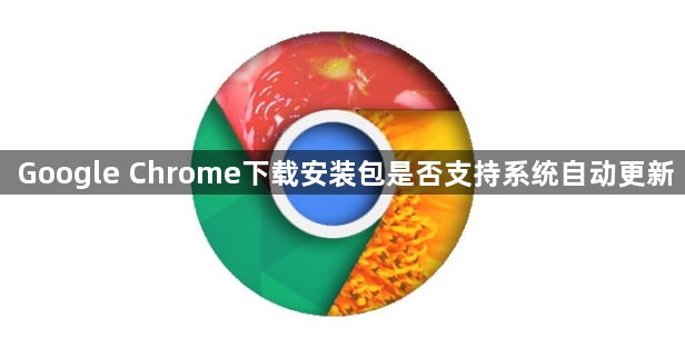 Google Chrome下载安装包是否支持系统自动更新1