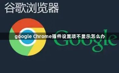 google Chrome插件设置项不显示怎么办1