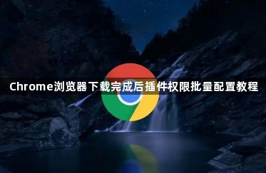 Chrome浏览器下载完成后插件权限批量配置教程1