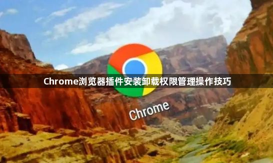 Chrome浏览器插件安装卸载权限管理操作技巧1