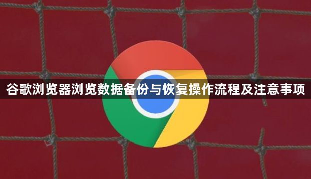 谷歌浏览器浏览数据备份与恢复操作流程及注意事项1
