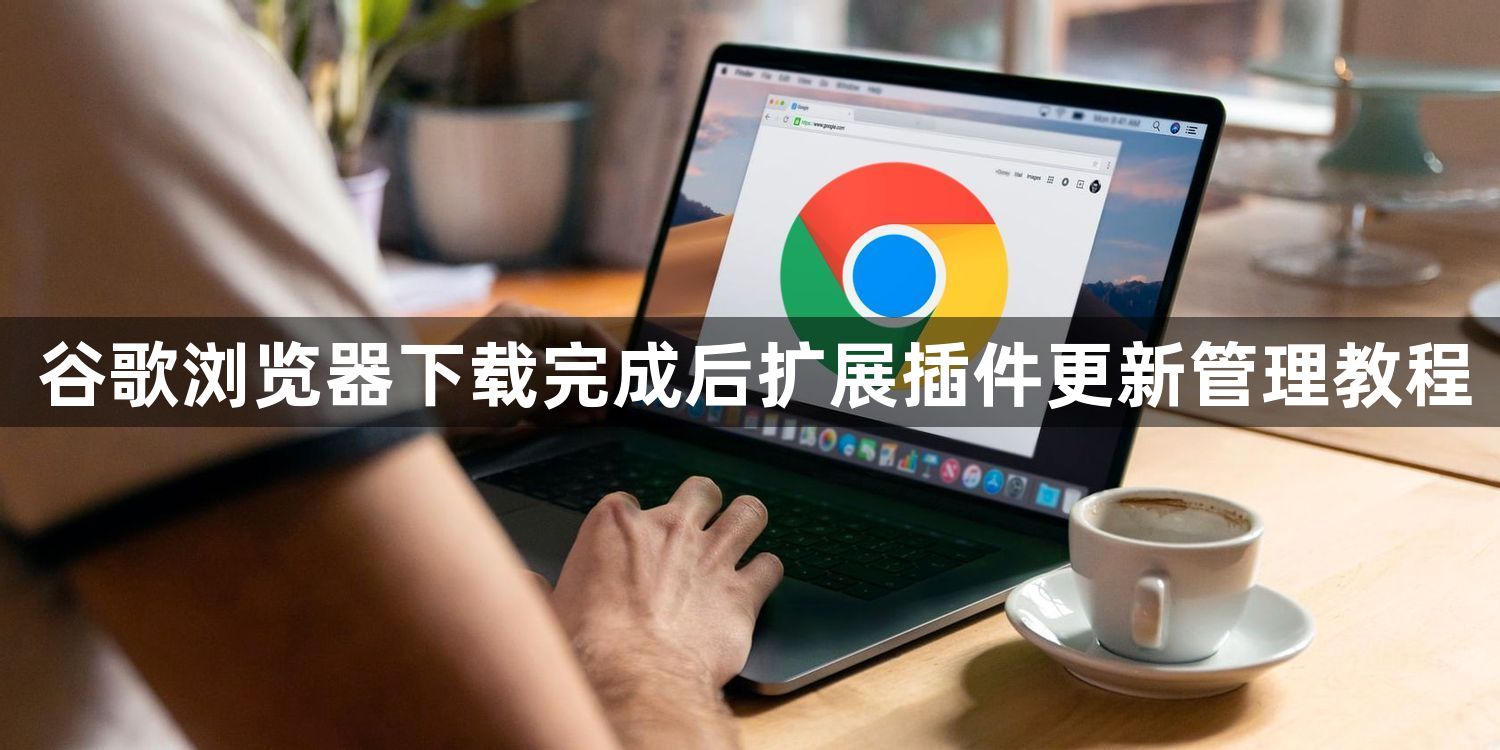 谷歌浏览器下载完成后扩展插件更新管理教程1