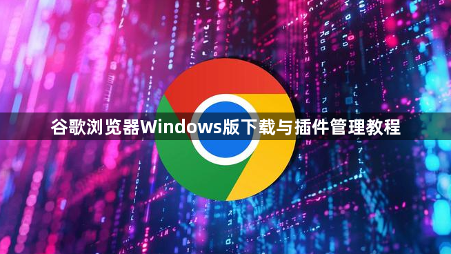 谷歌浏览器Windows版下载与插件管理教程1