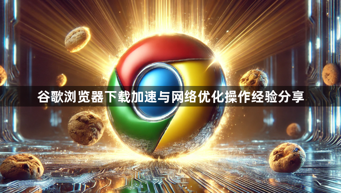 谷歌浏览器下载加速与网络优化操作经验分享1