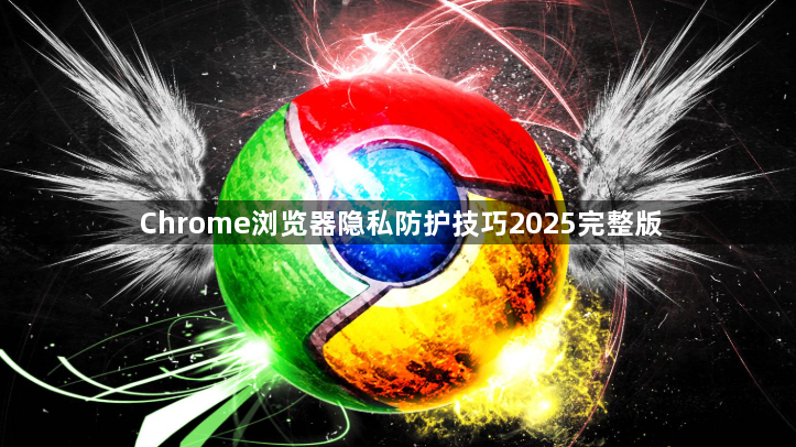 Chrome浏览器隐私防护技巧2025完整版1