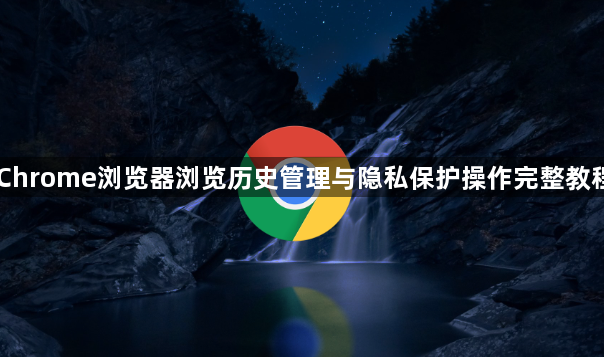 Chrome浏览器浏览历史管理与隐私保护操作完整教程1