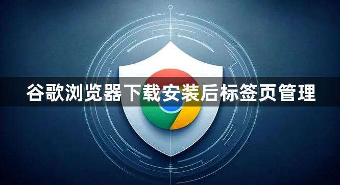 谷歌浏览器下载安装后标签页管理1