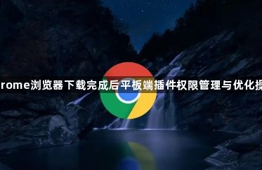 Chrome浏览器下载完成后平板端插件权限管理与优化操作1