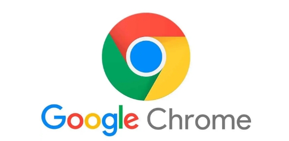 Chrome浏览器便携版快速获取与安装操作方法