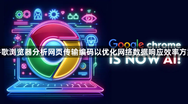 谷歌浏览器分析网页传输编码以优化网络数据响应效率方案1